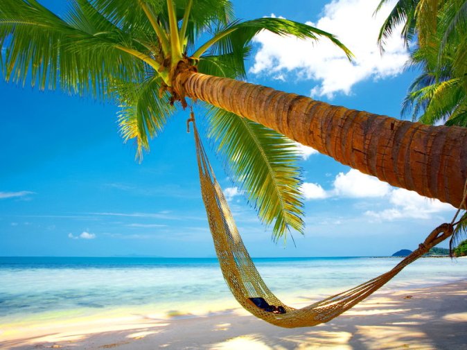 330676__tropical-hammock_p