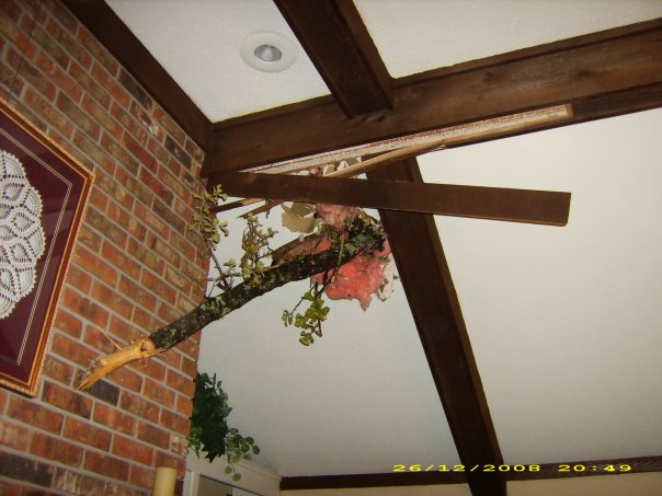 10398648_71466224084_3366986_n_71466224084